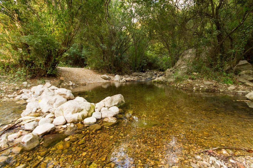 Finca El Huertezuelo El Bosque Eksteriør bilde