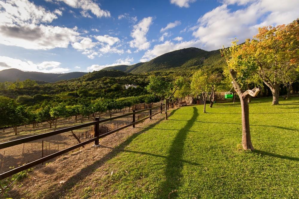 Finca El Huertezuelo El Bosque Eksteriør bilde