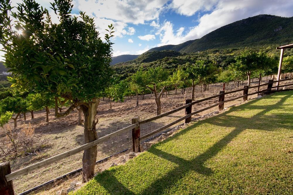 Finca El Huertezuelo El Bosque Eksteriør bilde